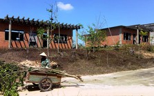 Dự án du lịch ở Quảng Ngãi "chết yểu" Dự án du lịch ở Quảng Ngãi "chết yểu"