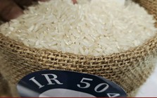 Giá gạo xuất khẩu giảm 35 USD/tấn Giá gạo xuất khẩu giảm 35 USD/tấn