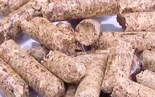 Xuất khẩu “phế phẩm” ngành gỗ dự kiến đem về 800 triệu USD/năm Xuất khẩu “phế phẩm” ngành gỗ dự kiến đem về 800 triệu USD/năm