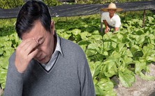 Cho hàng xóm mượn vườn trồng rau, sau 3 năm “đòi lại” thì vườn có "chủ mới": Cảnh sát vào cuộc điều tra, kẻ tham lam nhận bài học nhớ đời