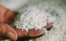 Ấn Độ sẽ hạ giá sàn xuất khẩu gạo Ấn Độ sẽ hạ giá sàn xuất khẩu gạo