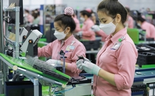 Thu hút vốn FDI tăng trưởng cao, Tổng Cục Thống kê nhận định gì? Thu hút vốn FDI tăng trưởng cao, Tổng Cục Thống kê nhận định gì?