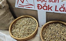 Sốc nặng với giá cà phê Robusta