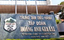 Lần đầu tiên Hoàng Anh Gia Lai tiết lộ lý do 2 lần Quỹ Việt Cát lỡ hẹn với cổ phiếu HAG