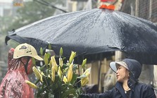 Hà Nội: Trời mưa không ngớt, thị trường rằm tháng Giêng đìu hiu