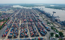 Gần 5.000 container vô chủ 'ăn vạ' cảng biển