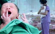 Tỷ lệ sinh thấp kỷ lục, nhân viên văn phòng Hàn Quốc có thể lĩnh gần 2 tỷ nếu sinh con, nhiều người vẫn băn khoăn