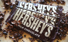 Ngành chocolate bên bờ khủng hoảng khi giá cacao tăng gấp đôi từ đầu năm