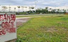 2 huyện sắp lên quận ở Hà Nội đấu giá hàng trăm lô đất, khởi điểm từ 19 triệu đồng/m2
