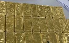 Truy tố 24 bị can trong đường dây buôn lậu hơn 6 tấn vàng