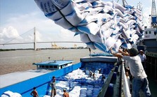Báo chí Uruguay ấn tượng về tăng trưởng xuất khẩu của Việt Nam