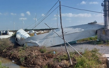 Vụ rơi cánh quạt điện gió ở Bạc Liêu ước thiệt hại khoảng 200 tỷ đồng