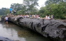 Người đàn ông "khoe" đào được cây gỗ dài 24m tỏa mùi thơm bên bờ sông: Chuyên gia khẳng định đó là báu vật đáng giá 1.752 tỷ đồng