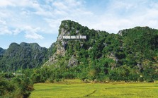 Bán "vàng từ rừng", Quảng Bình thu hơn 80 tỷ đồng, có chủ rừng được chia đến 20 tỷ