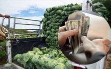 Người đàn ông dùng tiền mệnh giá to mua 4kg bắp cải, cảnh sát theo chân về tận nhà: phát hiện hơn 4 tỷ đồng được cất giấu, phanh phui đường dây tội phạm tinh vi