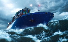 Lợi nhuận quý 1 tại công ty sở hữu đội tàu container lớn nhất Việt Nam "bốc hơi" hơn nửa theo giá cước vận tải biển