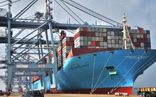 Cảng container quốc tế Cái Mép chính thức được phép đón 'siêu' tàu container