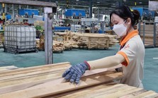 "Tín hiệu sáng" cho doanh nghiệp xuất khẩu gỗ