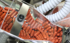Nhật Bản tiêu hủy 3/4 số thuốc trị COVID-19 đã mua