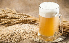 Doanh nghiệp đầu tiên sản xuất malt bia tại Việt Nam báo lỗ năm thứ 4 liên tiếp