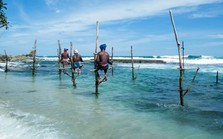 Thiên đường du lịch Maldives bị tẩy chay vì quan chức "vạ miệng", một quốc đảo hưởng lợi bất ngờ khi du khách tới từ quốc gia đông dân nhất thế giới tăng gấp 3