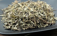 Việt Nam có 1 loại cây phơi khô là thảo dược quý giúp hạ đường huyết, thanh lọc gan, tốt cho thận