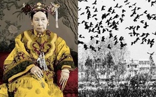 Hiện tượng lạ xuất hiện đúng vào ngày Từ Hi Thái hậu chào đời, hoàng đế Quang Đạo lầm tưởng là điềm lành nên tổ chức yến tiệc ăn mừng: Hậu quả gần 80 năm sau nhà Thanh diệt vong