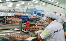 Ngân hàng đại hạ giá nhà máy sản xuất trứng gà sạch của ĐTK Phú Thọ