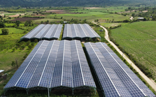 Quỹ đầu tư tạo tác động hình thức vốn vay đầu tiên của Việt Nam “chốt deal” với DN năng lượng tái tạo, thực hiện thương vụ thứ 3 từ đầu năm