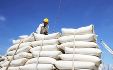 4 tháng đầu năm, Việt Nam xuất khẩu 3,4 triệu tấn gạo