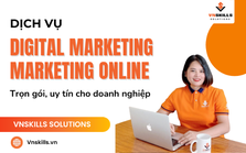 VnSkills Solutions dịch vụ digital marketing online uy tín trọn gói doanh nghiệp