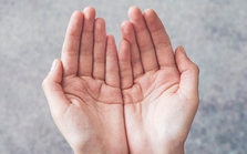 Lòng bàn tay cũng dự báo được tuổi thọ một người? Bác sĩ nói thẳng: Người sống trường thọ thường có 3 đặc điểm này