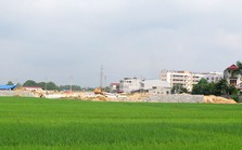 Bắc Giang thu hồi hơn ngàn ha đất trồng lúa