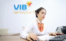 Hơn 11 nghìn nhân viên VIB có thu nhập bình quân 95 triệu đồng/người trong quý 1