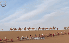 Lắp đèn đỏ giữa sa mạc tránh "kẹt” lạc đà, du khách vẫn điêu đứng vì tắc đường: 5 phút nhích được 2 bước!