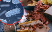 Vi khuẩn Salmonella được tìm thấy trong bánh mì khiến hơn 500 người ngộ độc ở Đồng Nai nguy hiểm thế nào?