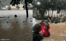 Những hình ảnh xót xa ở Hà Giang lúc này: Lũ trên sông Lô cao nhất trong gần 40 năm, toàn thành phố chìm trong biển nước