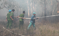 Huy động 200 người dập lửa vụ cháy Vườn Quốc gia Tràm Chim