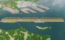 Xây dựng "siêu cảng" Cần Giờ sẽ đụng đến 82,89 ha rừng tự nhiên của Khu Dự trữ sinh quyển rừng ngập mặn