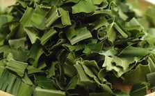 Việt Nam có 1 loại lá phơi khô là thảo dược quý giúp kiểm soát đường huyết, giảm huyết áp, ngăn ngừa thiếu máu