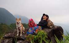 Chú chó thành 'idol mạng' nhờ chinh phục 7 ngọn núi khó trèo ở Việt Nam