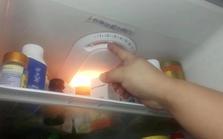 Tủ lạnh nào cũng có một "công tắc tiết kiệm điện": Dễ thấy nhưng nhiều người chưa biết