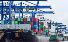 Xuất khẩu căng thẳng với vận tải biển