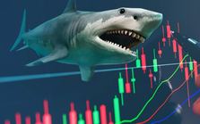 Cá mập vừa "hô" VN-Index lên 1.700 điểm: Danh mục tạm lãi "đậm" với loạt cổ phiếu công nghệ, hiệu suất đầu tư tháng 5 chiến thắng thị trường