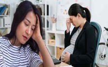 Nữ nhân viên mang thai xin nghỉ phép 7 ngày thì bất ngờ bị sếp đuổi việc: Toà án liền xử phạt công ty phải bồi thường hơn 687 triệu đồng