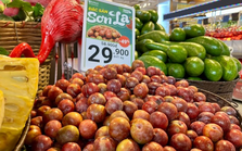 WinMart muốn bán 5.000 tấn trái cây trong 3 tháng hè, tung loạt ưu đãi phục vụ mùa Euro
