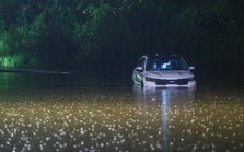 Mưa như trút nước, đường phố Hà Nội ngập sâu trong đêm