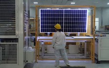 Nhiều công ty pin mặt trời Trung Quốc tại Việt Nam bất ngờ dừng sản xuất