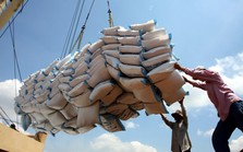 Việt Nam duy trì vị trí số một về xuất khẩu gạo vào thị trường Singapore