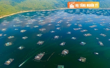 Vịnh biển hoang sơ, là nơi nuôi tôm hùm đang được kêu gọi đầu tư 20.000 tỷ để lột xác thành khu du lịch cao cấp